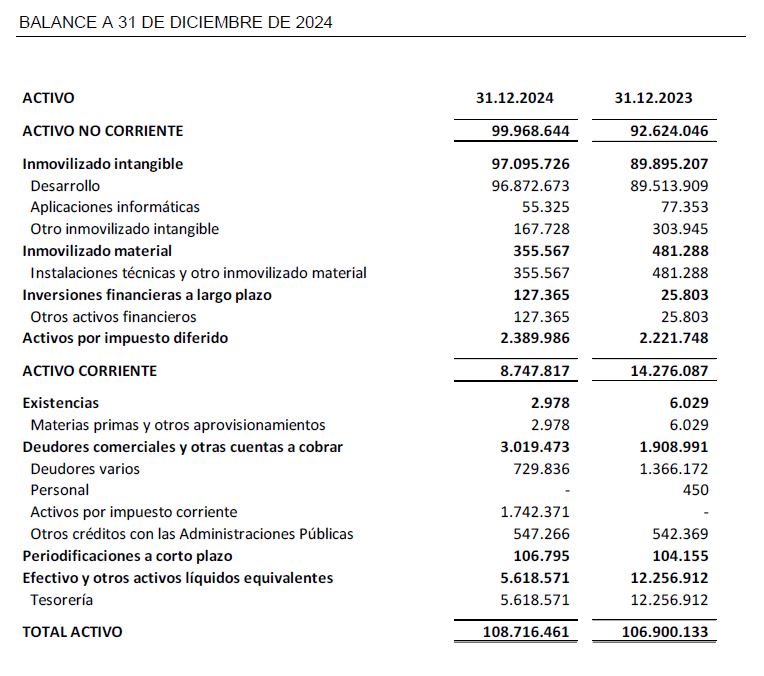 BALANCE A 31 DE DICIEMBRE DE 2024